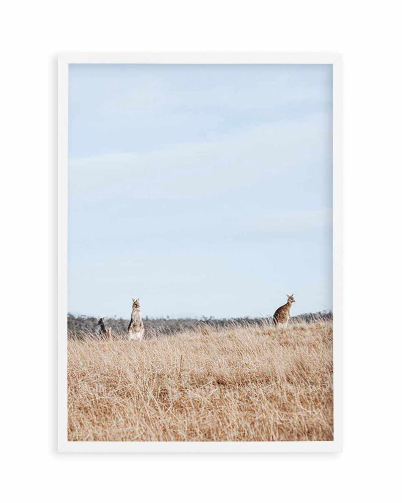 Country Kangaroo I Art Print