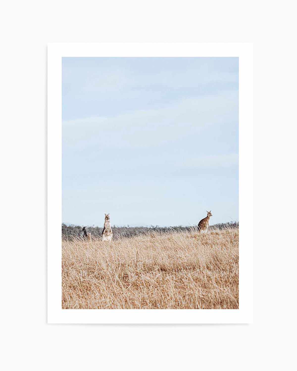 Country Kangaroo I Art Print