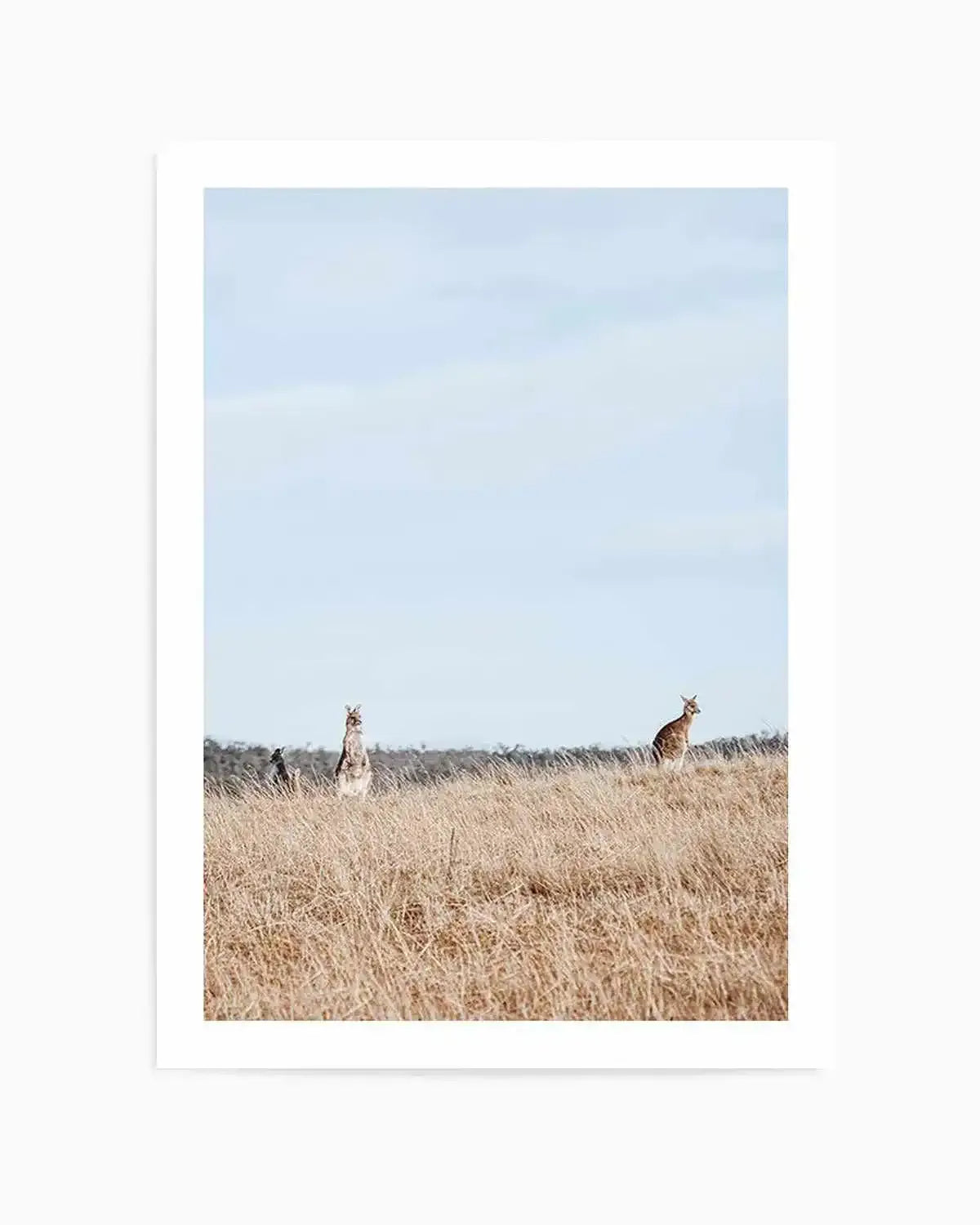 Country Kangaroo I Art Print from Olive et Oriel where you can shop wallpaper and artworks online
