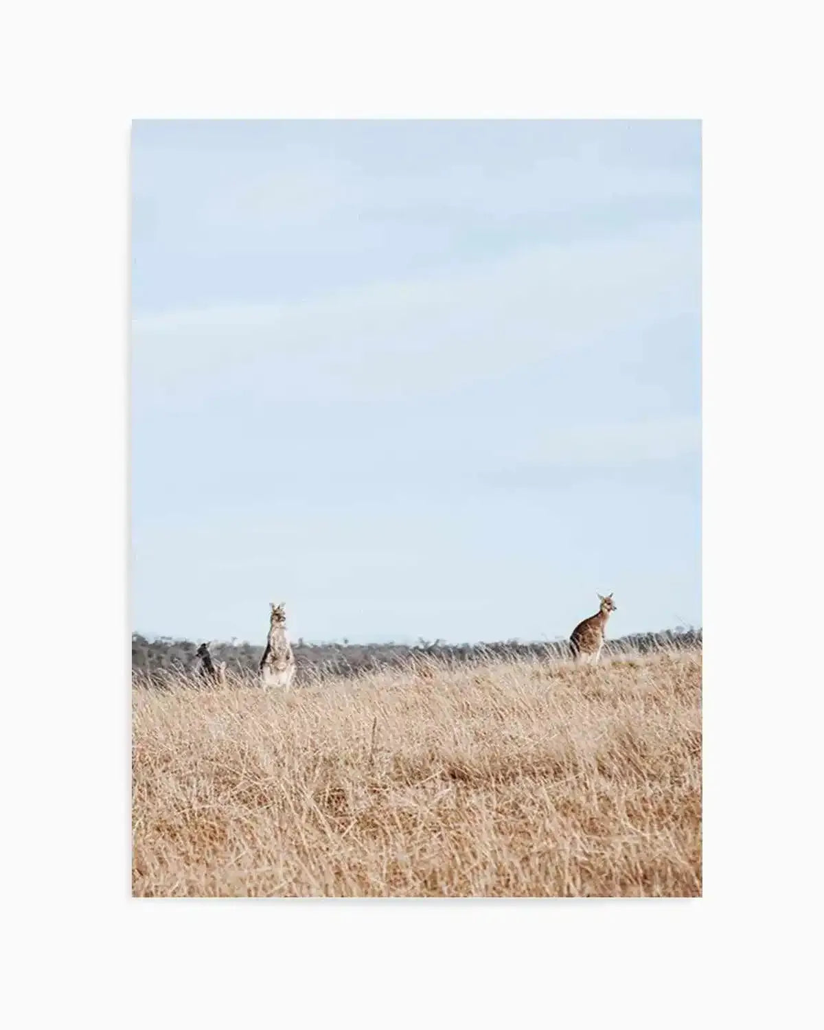 Country Kangaroo I Art Print from Olive et Oriel where you can shop wallpaper and artworks online