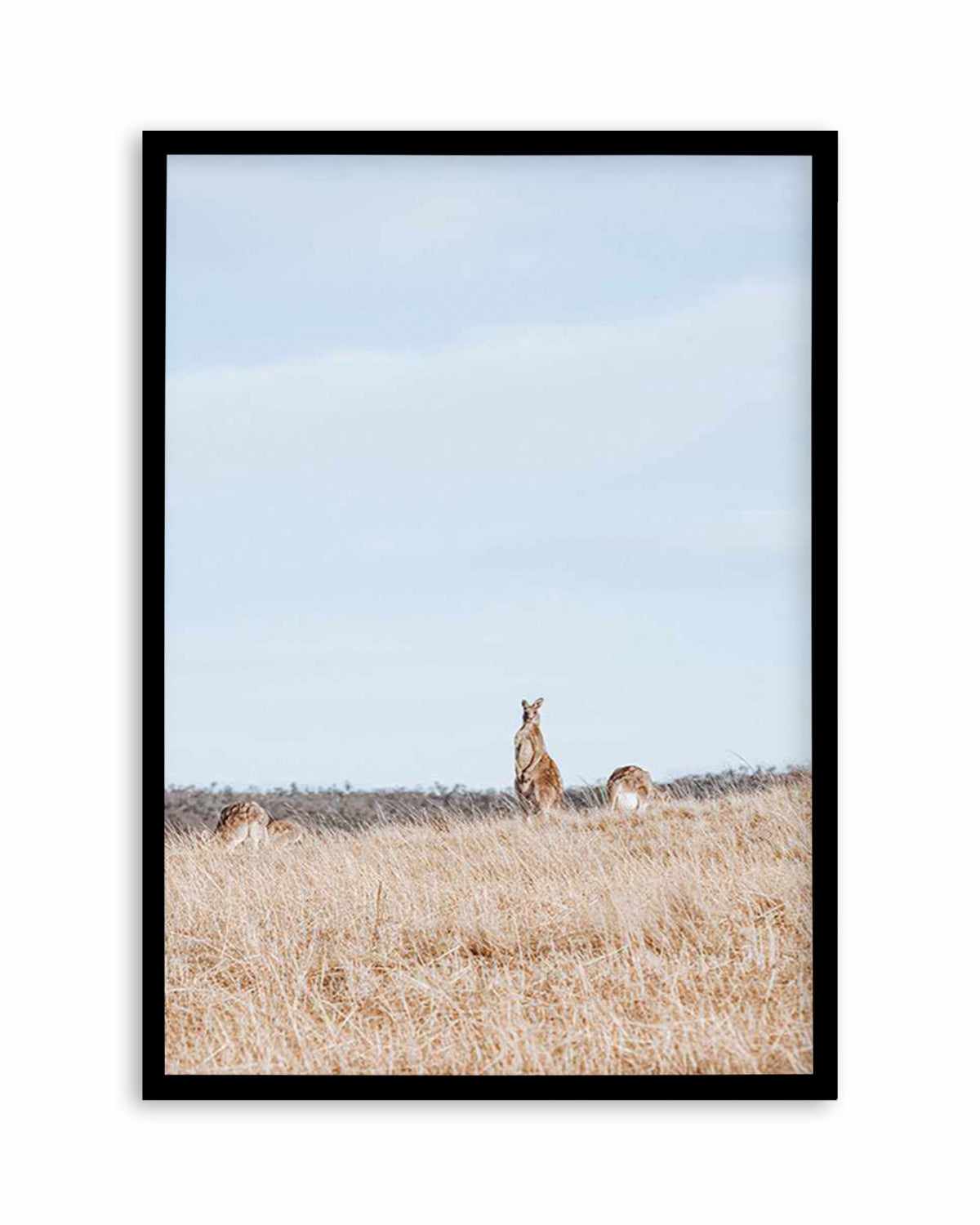 Country Kangaroo II Art Print