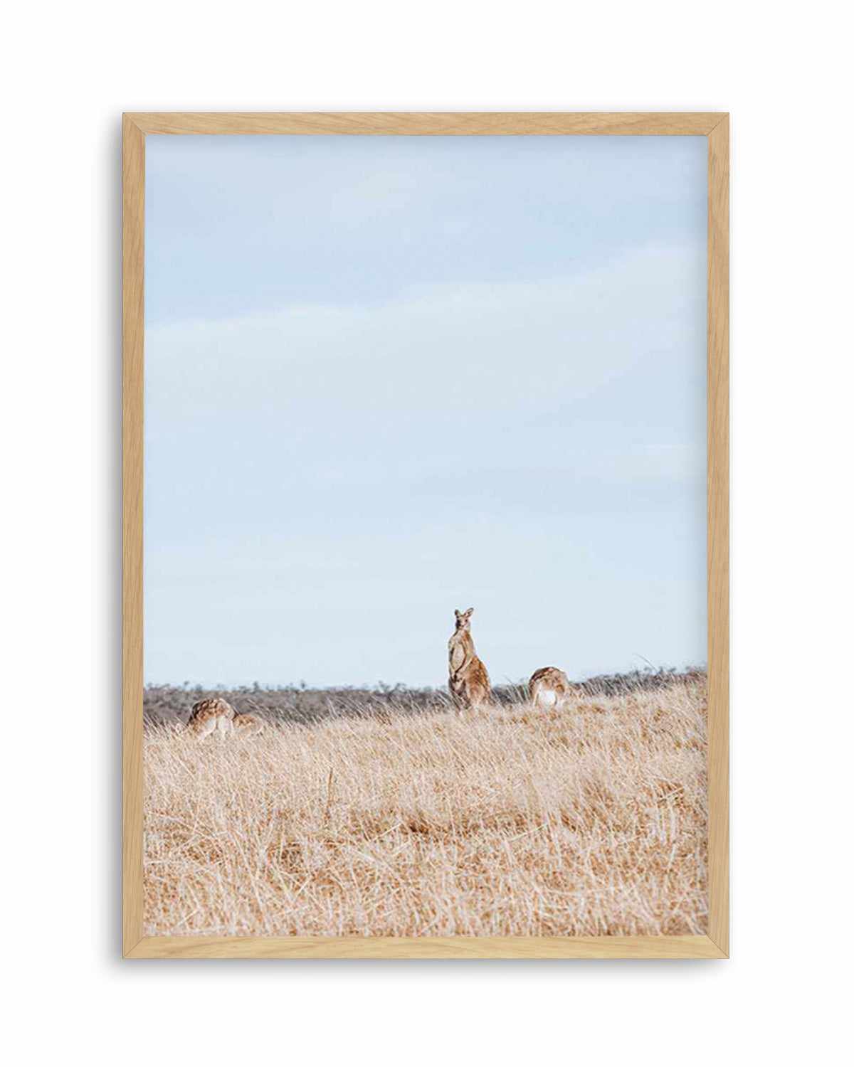 Country Kangaroo II Art Print