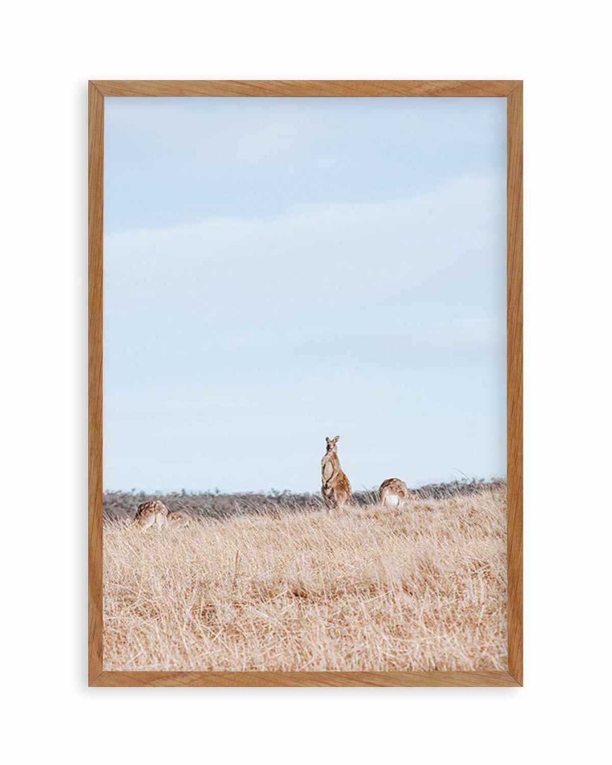 Country Kangaroo II Art Print