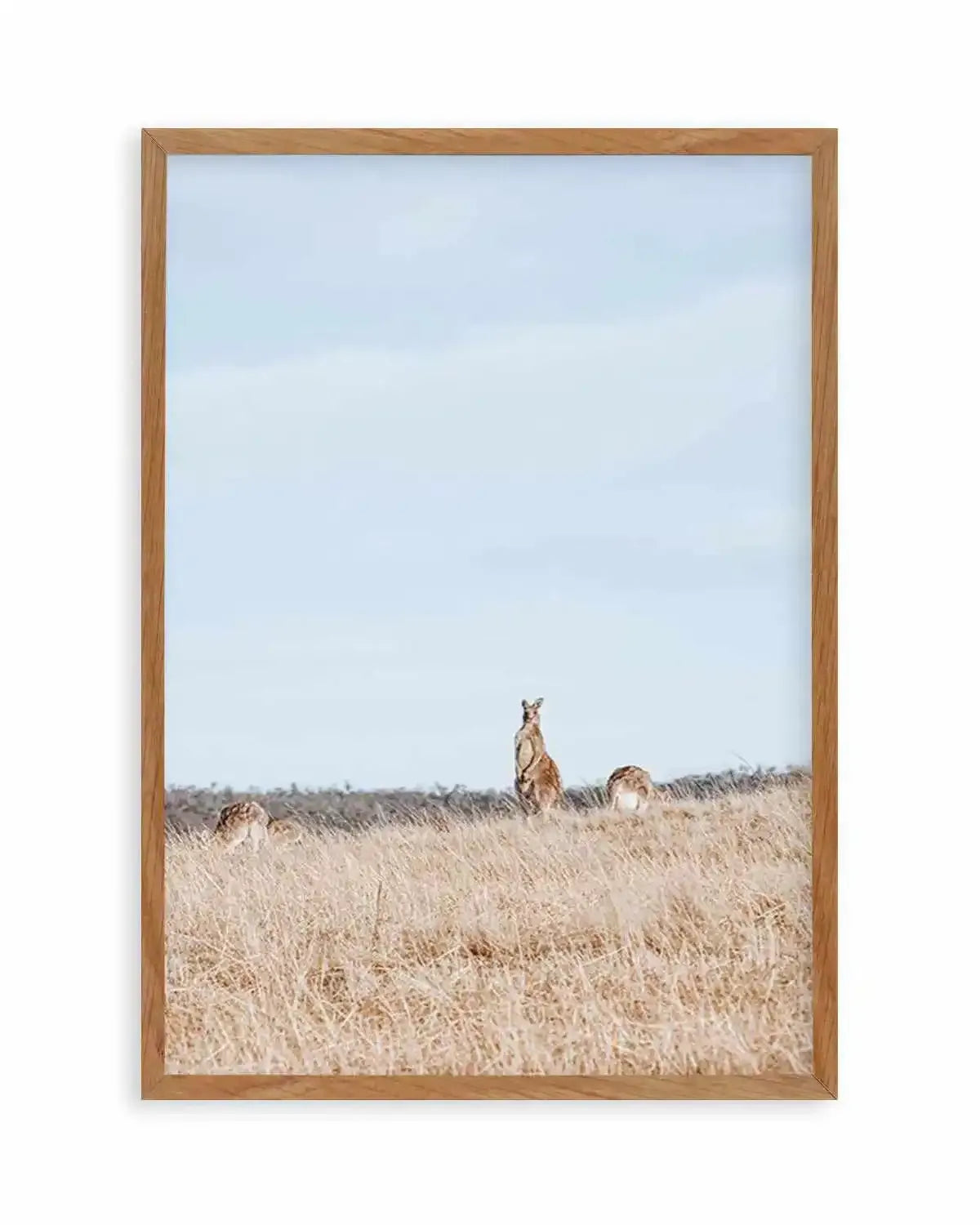 Country Kangaroo II Art Print from Olive et Oriel where you can shop wallpaper and artworks online