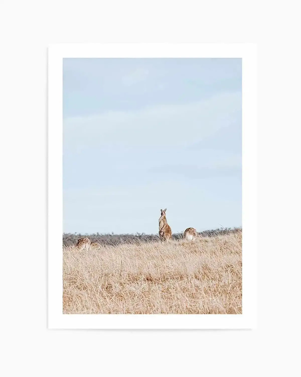Country Kangaroo II Art Print from Olive et Oriel where you can shop wallpaper and artworks online