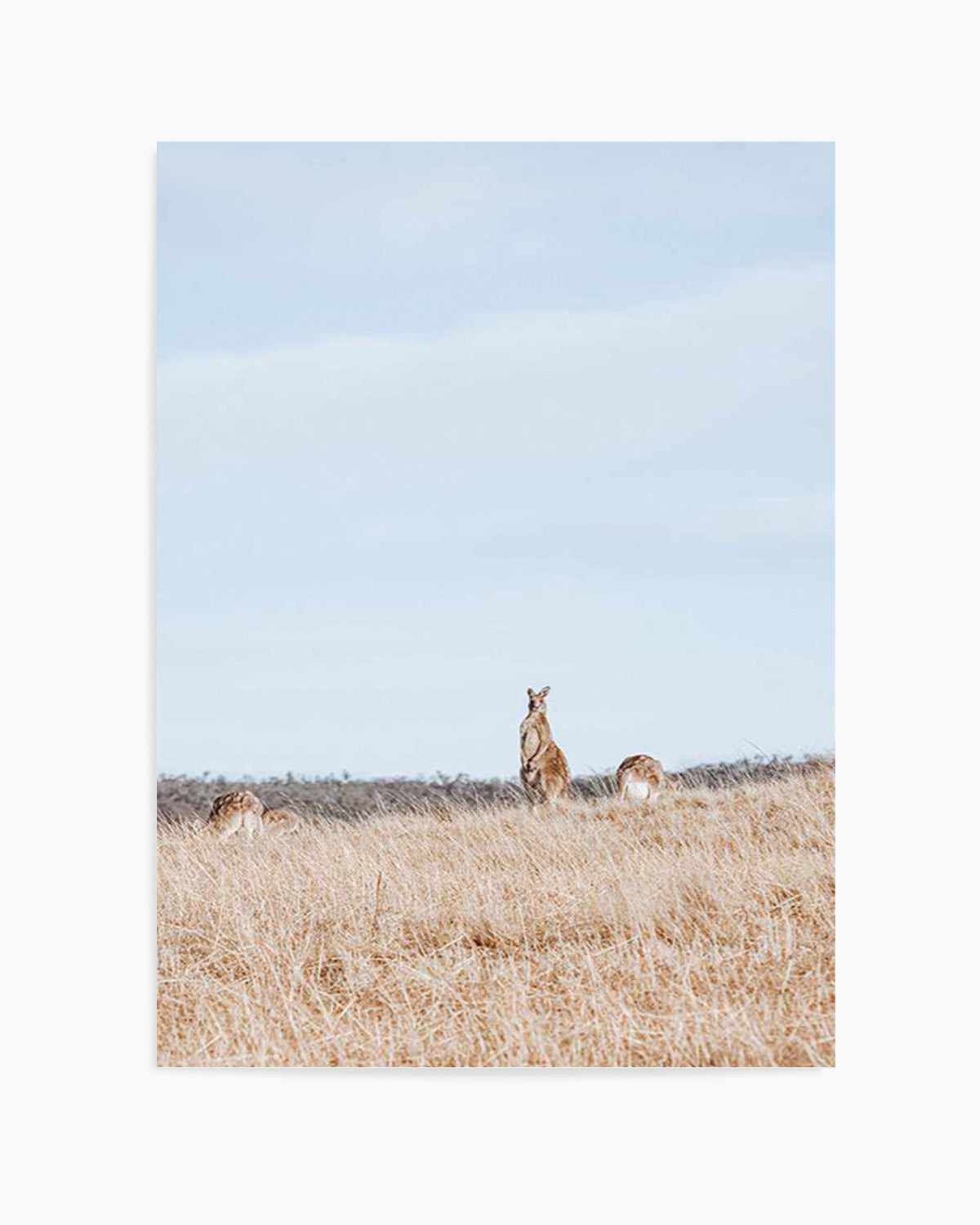 Country Kangaroo II Art Print