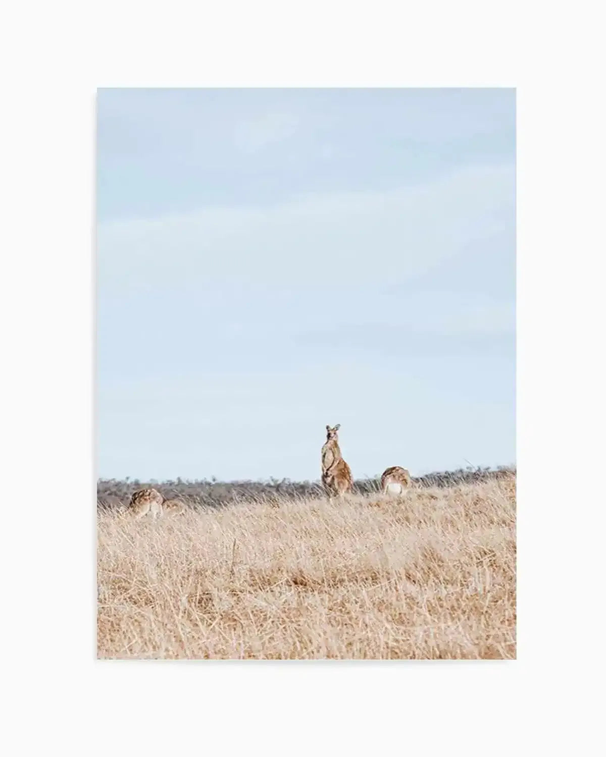 Country Kangaroo II Art Print from Olive et Oriel where you can shop wallpaper and artworks online