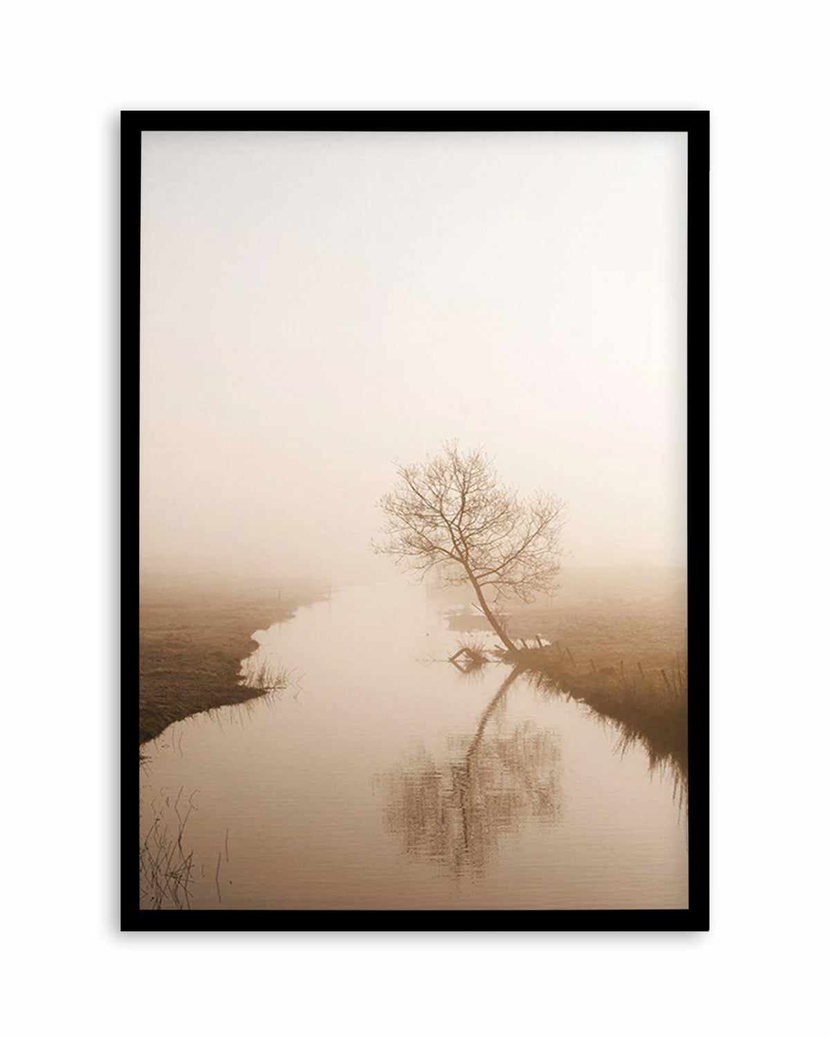 Country Morning, First Light Art Print