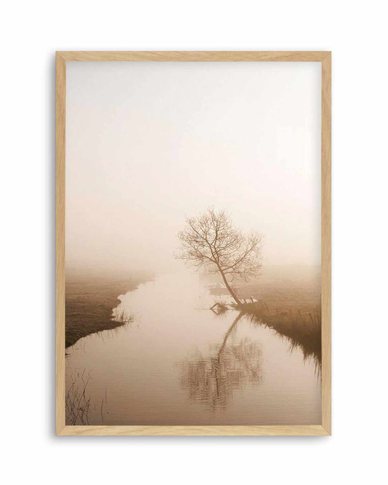 Country Morning, First Light Art Print