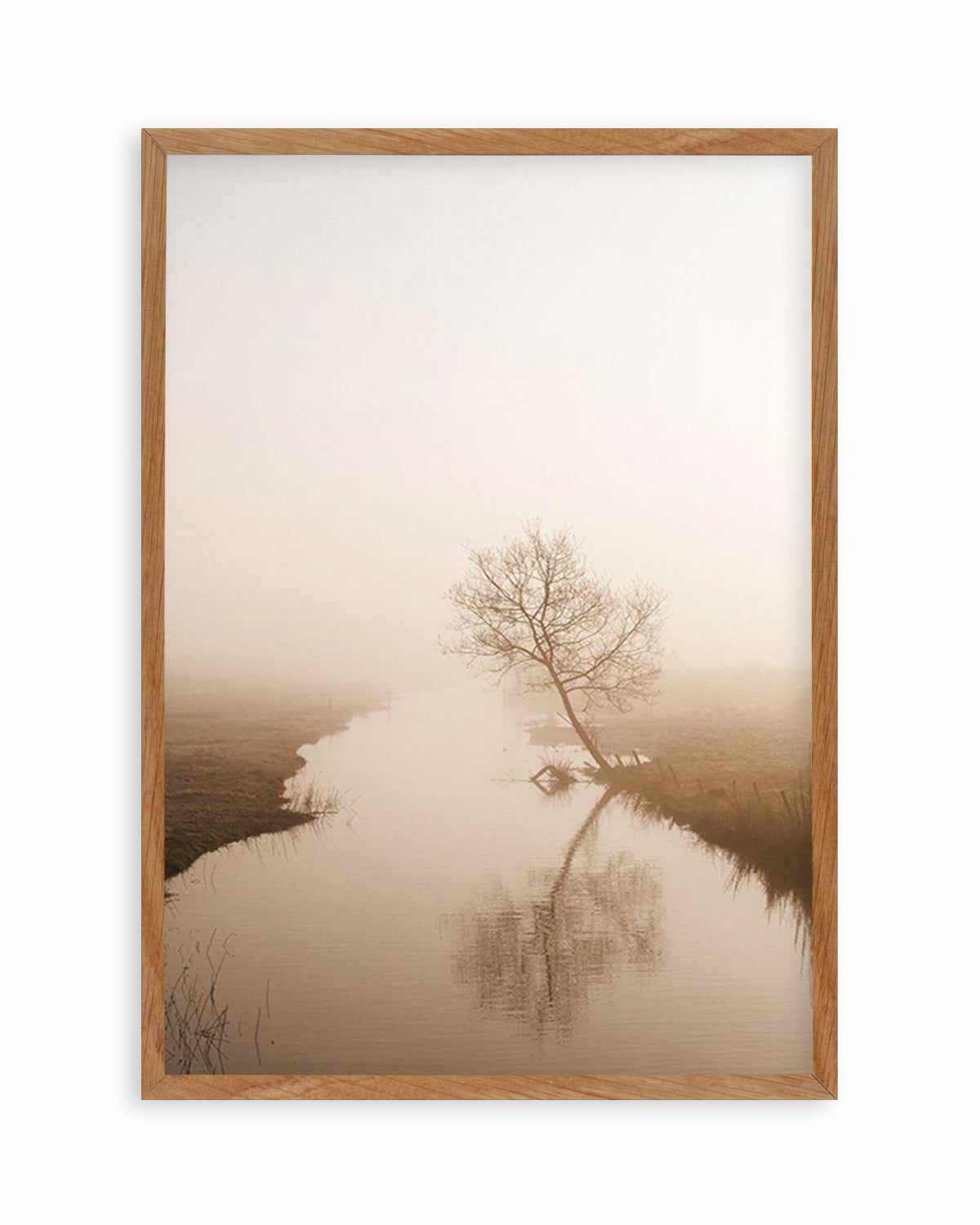 Country Morning, First Light Art Print