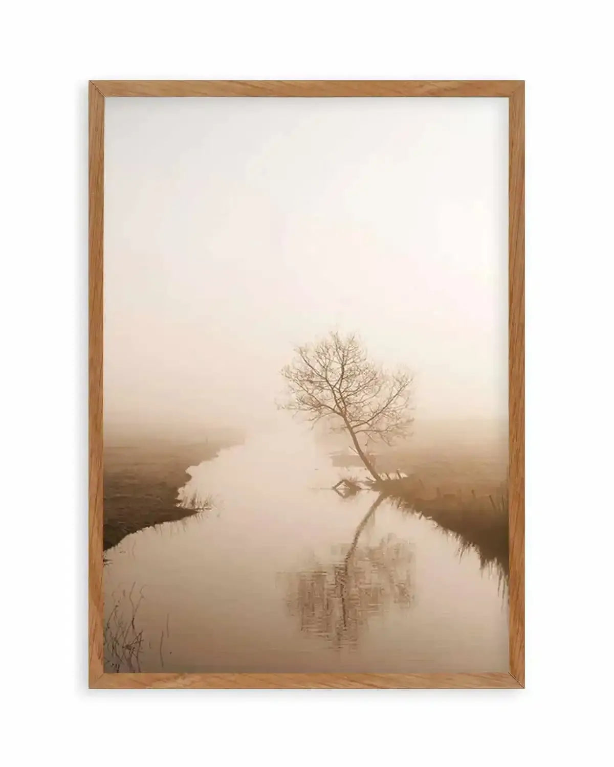 Country Morning, First Light Art Print from Olive et Oriel where you can shop wallpaper and artworks online