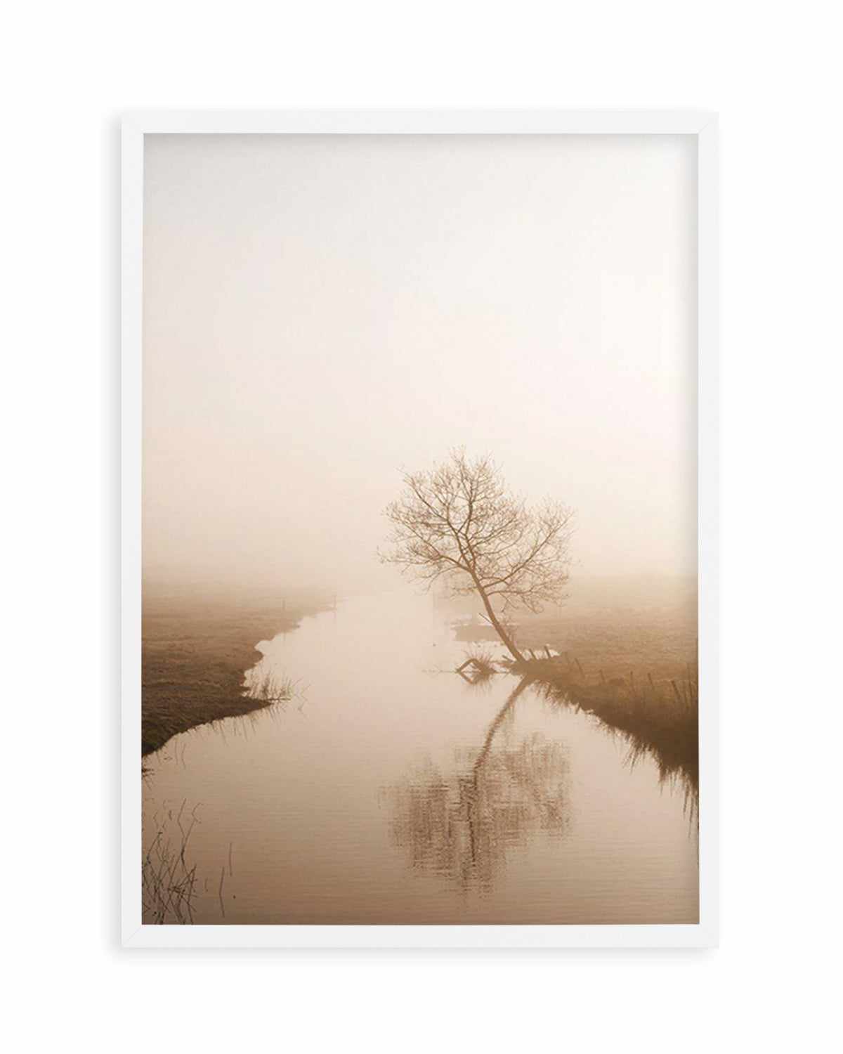 Country Morning, First Light Art Print