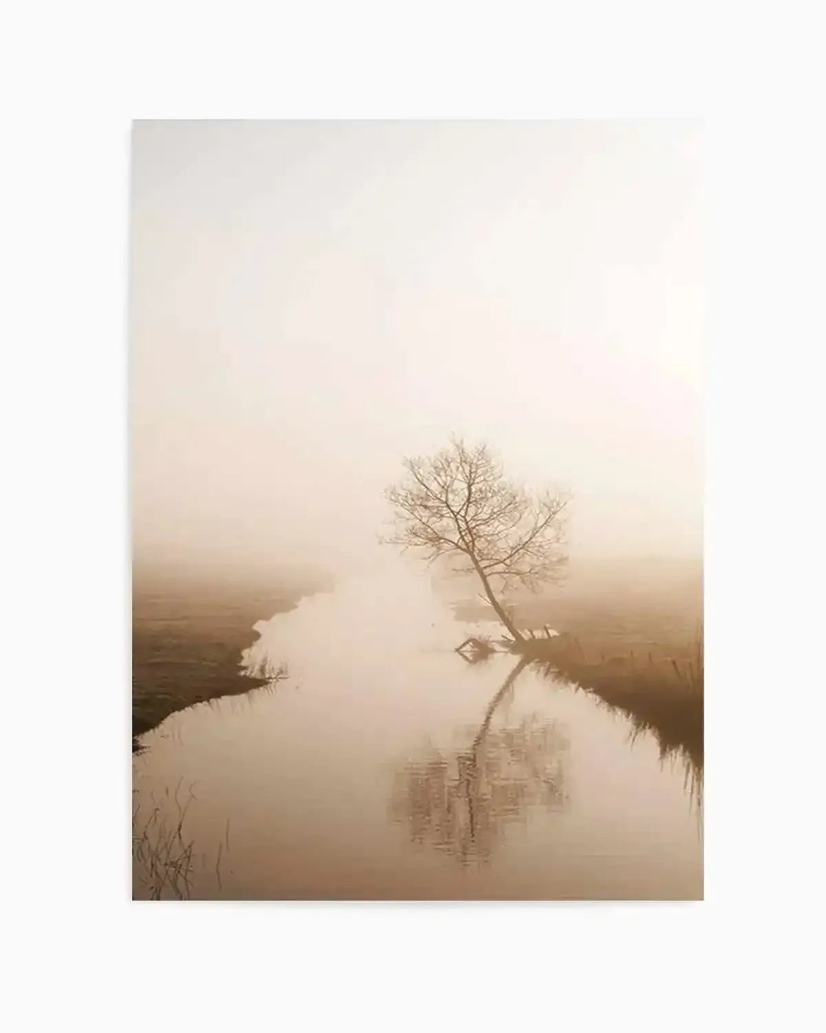 Country Morning, First Light Art Print from Olive et Oriel where you can shop wallpaper and artworks online