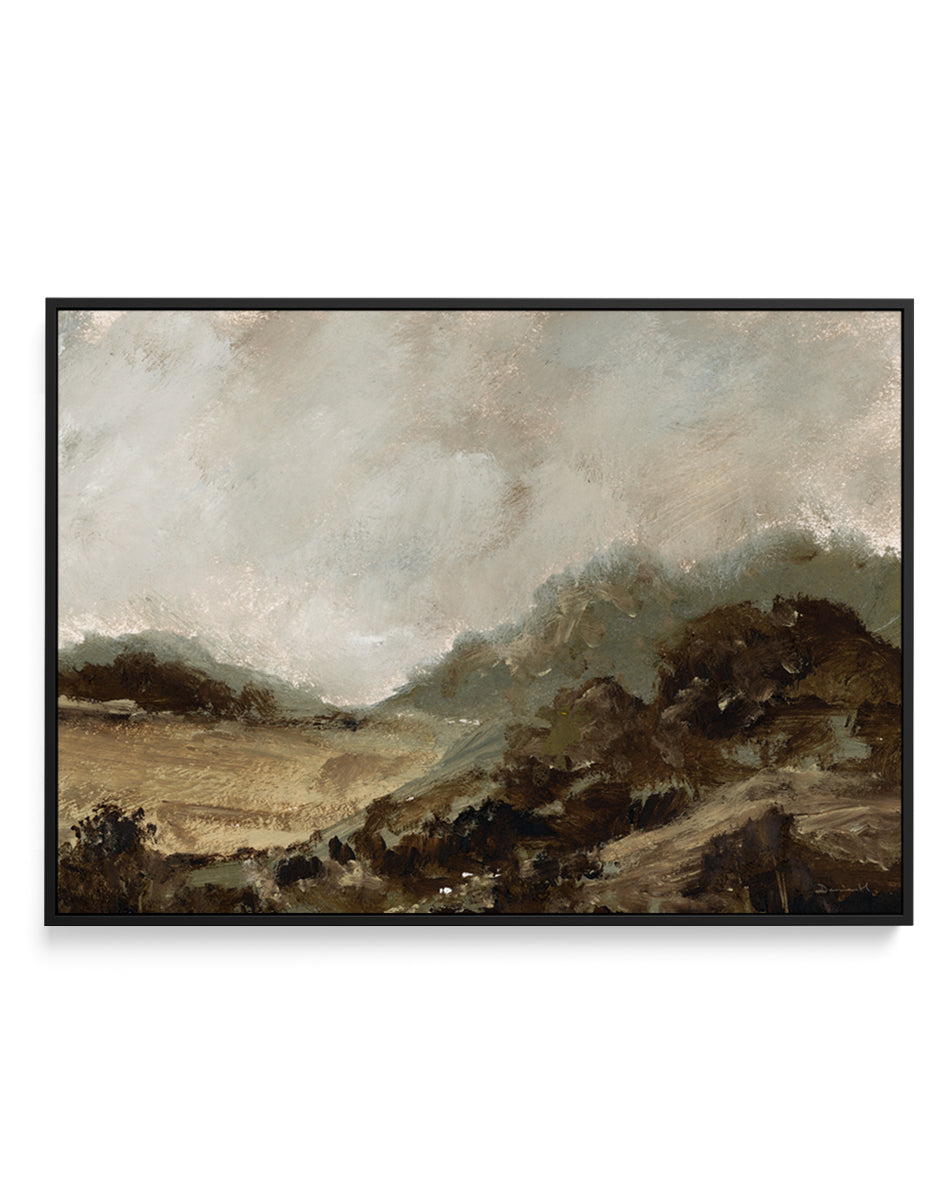Countryside by Dan Hobday | Framed Canvas Art Print