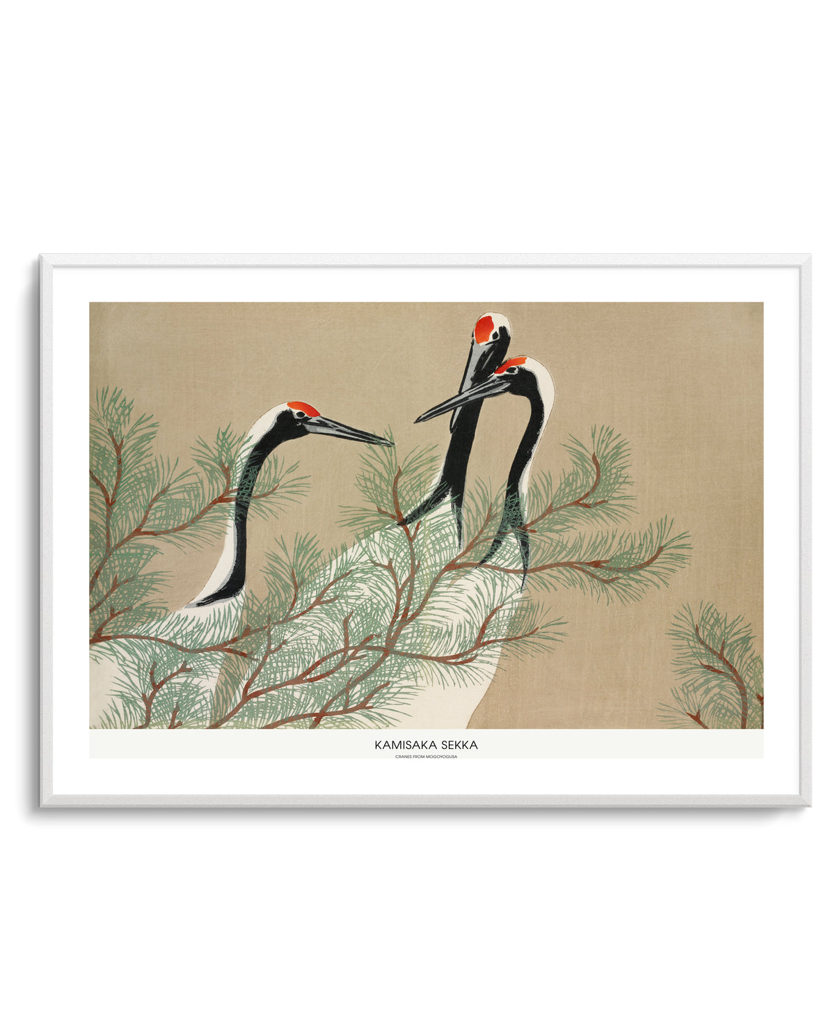 Cranes From Momoyogusa | Art Print