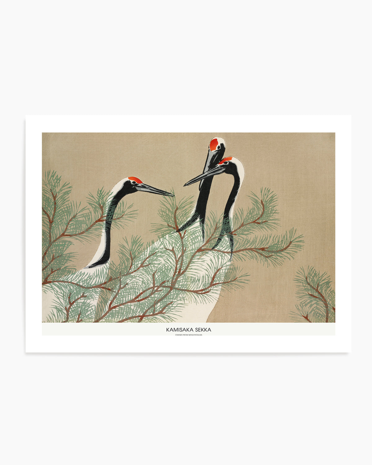 Cranes From Momoyogusa | Art Print