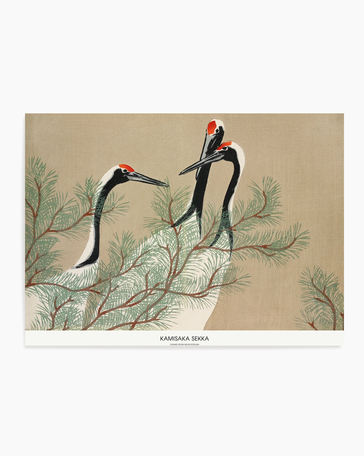 Cranes From Momoyogusa | Art Print