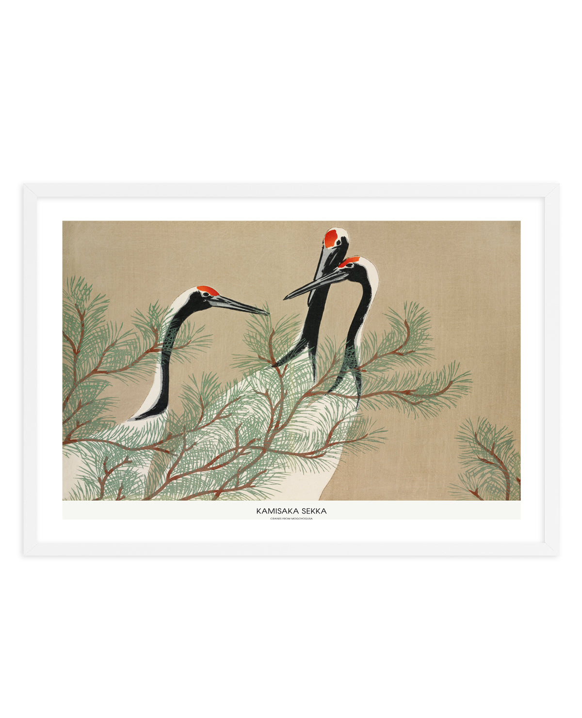 Cranes From Momoyogusa | Art Print