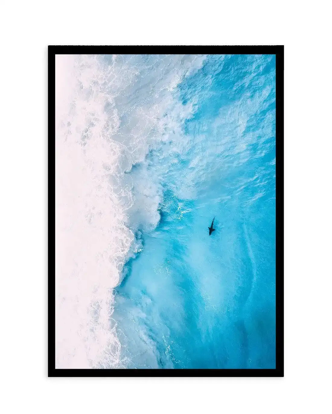 Creature Of Habit Art Print-PRINT-Olive et Oriel-Olive et Oriel-A4 | 8.3" x 11.7" | 21 x 29.7cm-Black-With White Border-Buy-Australian-Art-Prints-Online-with-Olive-et-Oriel-Your-Artwork-Specialists-Austrailia-Decorate-With-Coastal-Photo-Wall-Art-Prints-From-Our-Beach-House-Artwork-Collection-Fine-Poster-and-Framed-Artwork