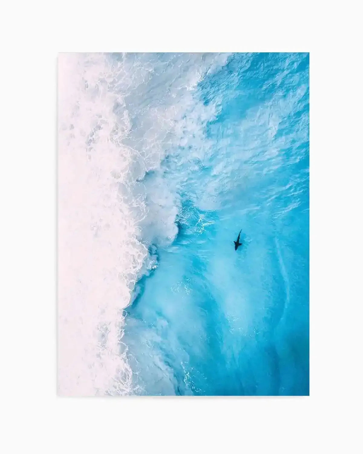 Creature Of Habit Art Print from Olive et Oriel where you can shop wallpaper and artworks online