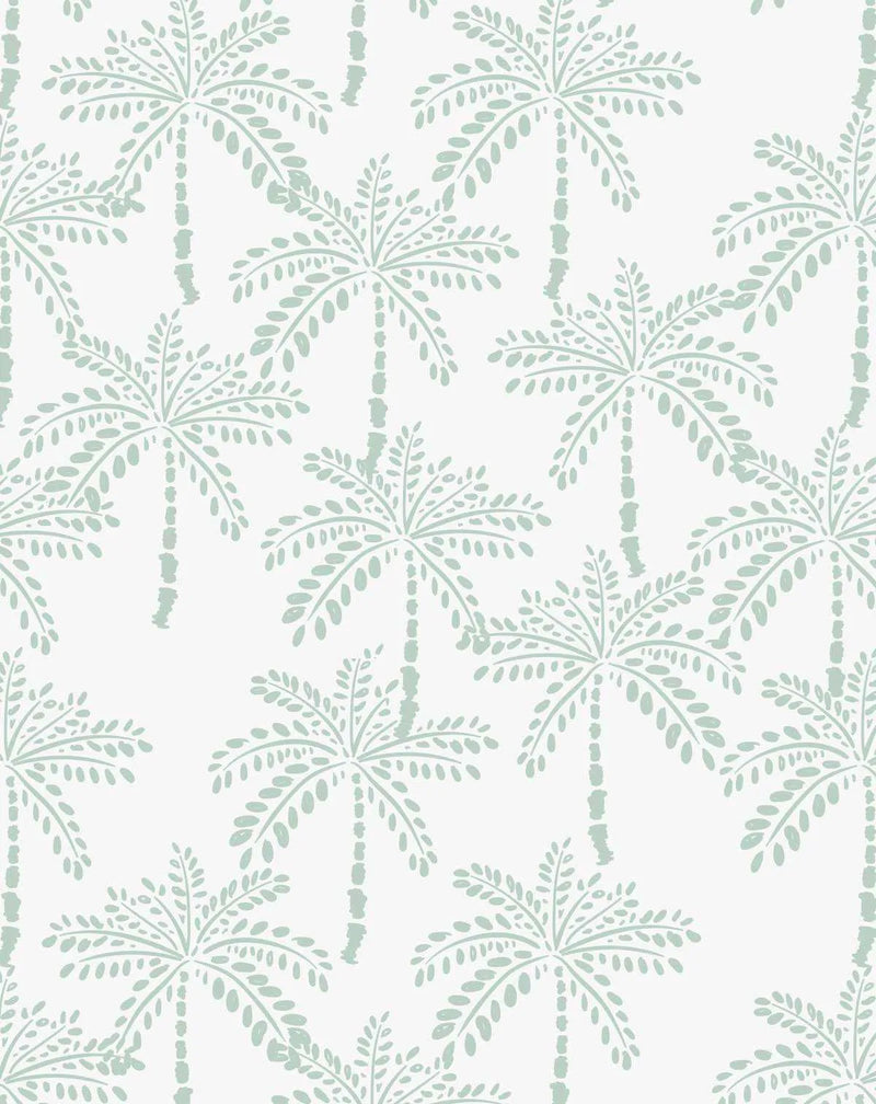 Peel and stick wallpaper featuring a repeating pattern of hand-drawn palm trees in a muted mint green on a crisp white background. The design has a loose, organic quality with visible brushstroke texture, depicting palm fronds and textured trunks.