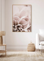 Chrysanthemum  | Framed Canvas Art Print