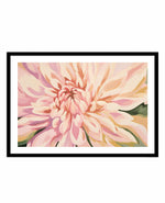 Dahlia in Bloom | Art Print