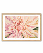 Dahlia in Bloom | Art Print