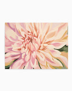 Dahlia in Bloom | Art Print