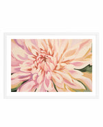 Dahlia in Bloom | Art Print