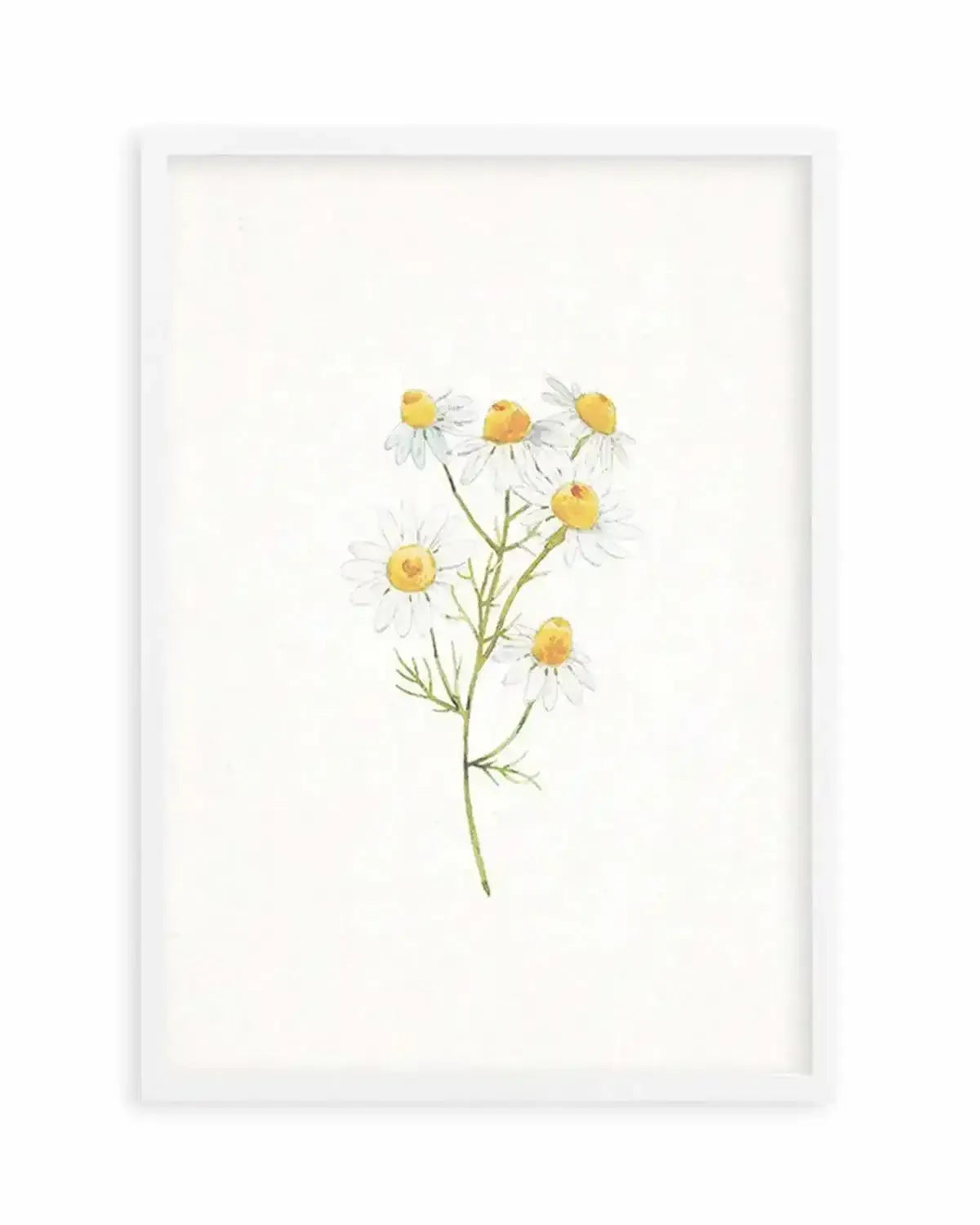 Daisies on Linen I Art Print from Olive et Oriel where you can shop wallpaper and artworks online
