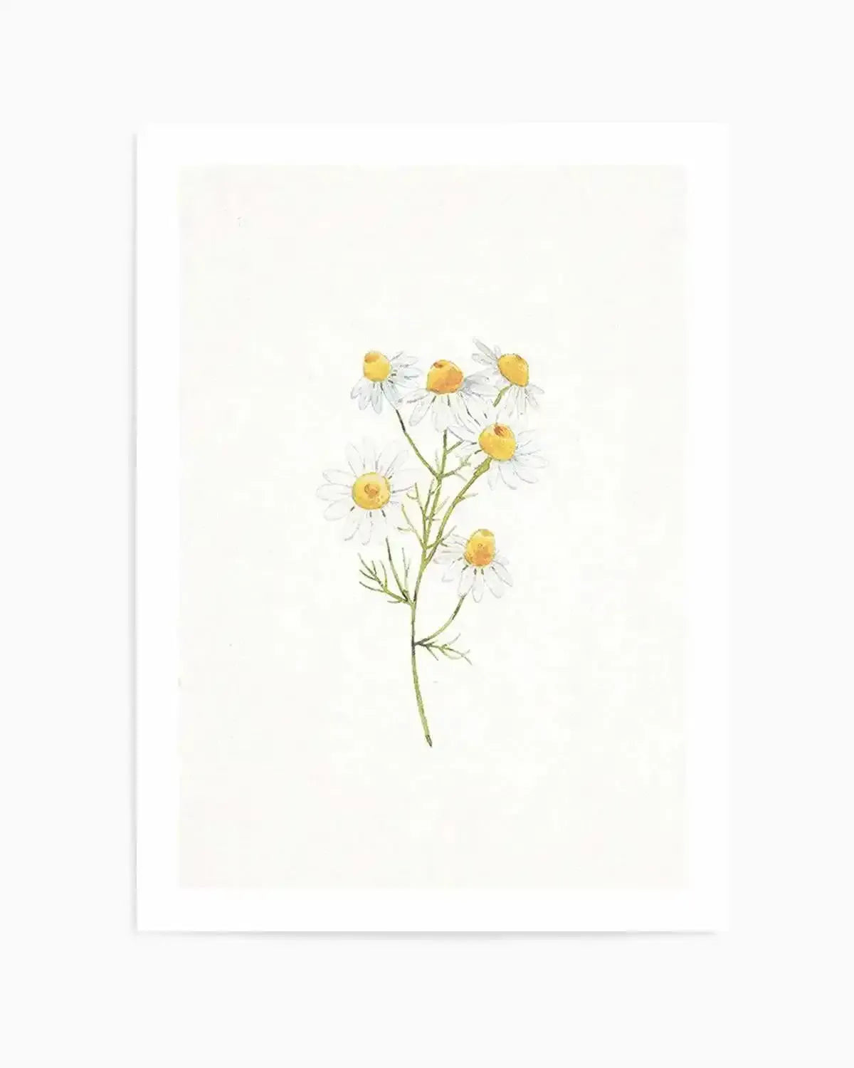 Daisies on Linen I Art Print from Olive et Oriel where you can shop wallpaper and artworks online