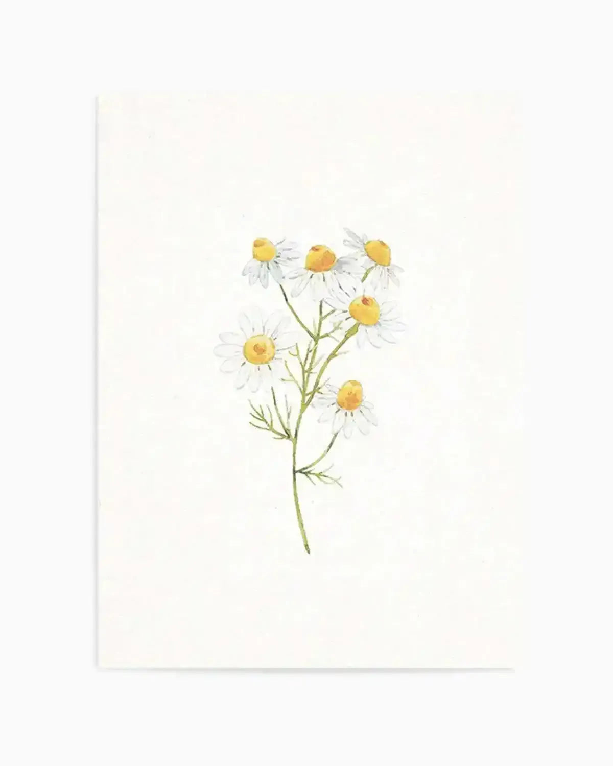 Daisies on Linen I Art Print from Olive et Oriel where you can shop wallpaper and artworks online