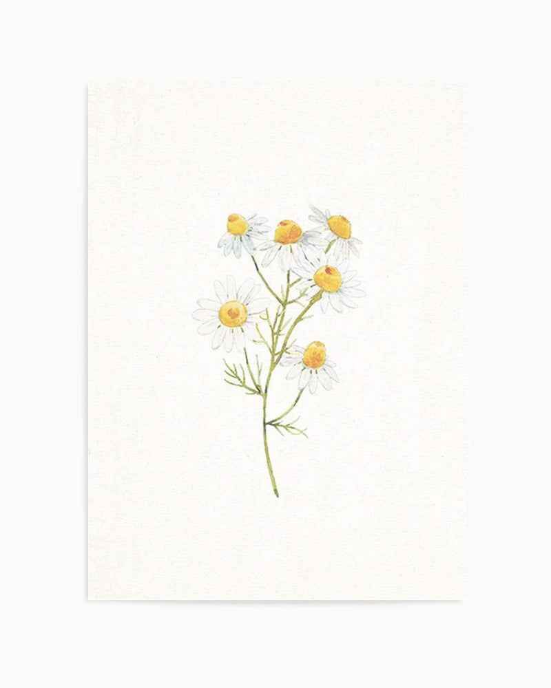 Daisies on Linen I Art Print