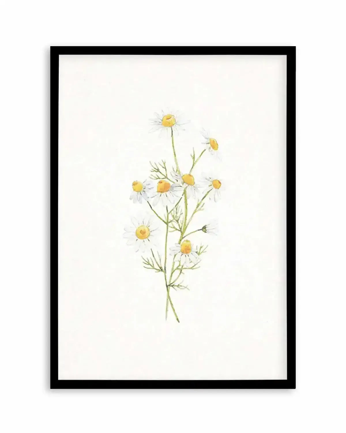 Daisies on Linen II Art Print from Olive et Oriel where you can shop wallpaper and artworks online