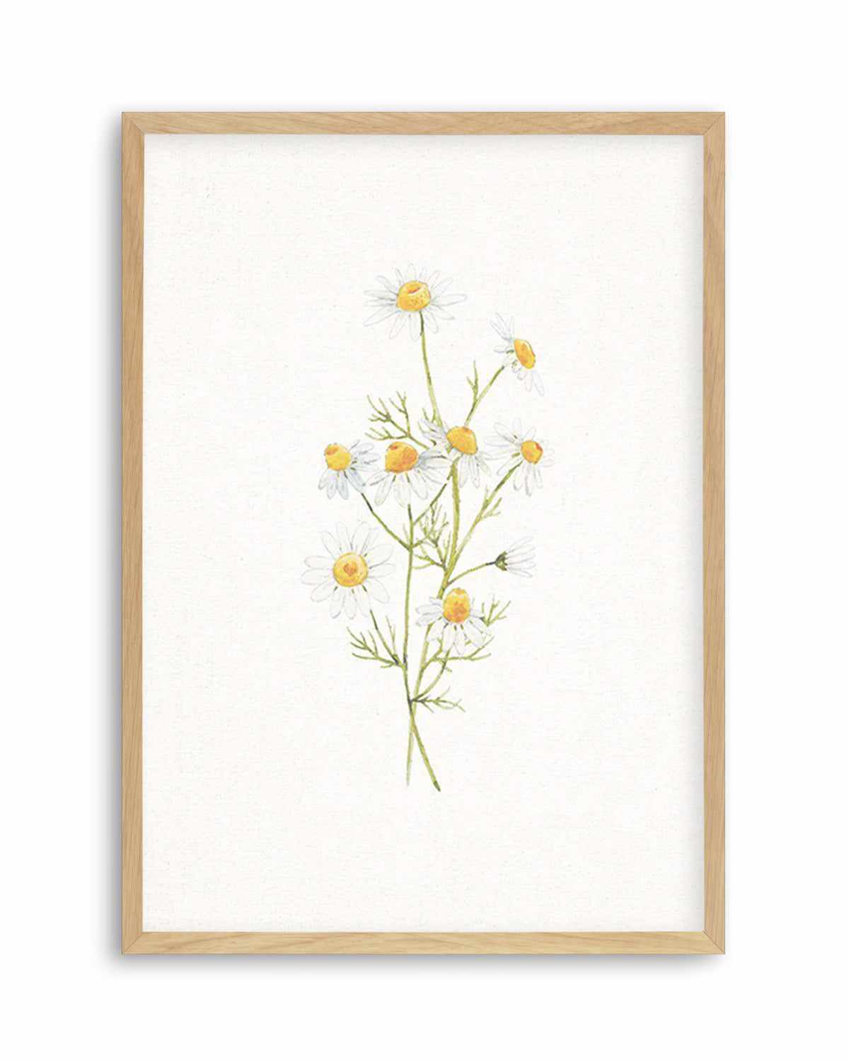 Daisies on Linen II Art Print