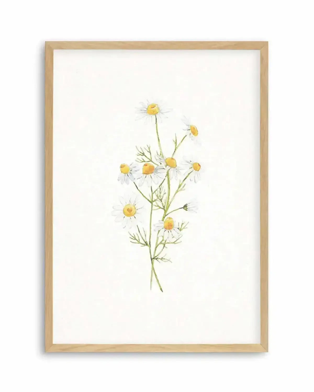 Daisies on Linen II Art Print from Olive et Oriel where you can shop wallpaper and artworks online