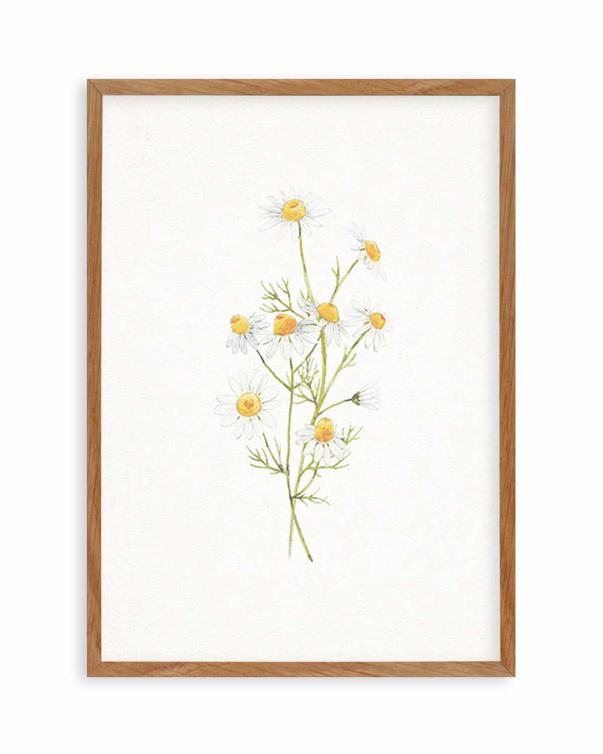 Daisies on Linen II Art Print