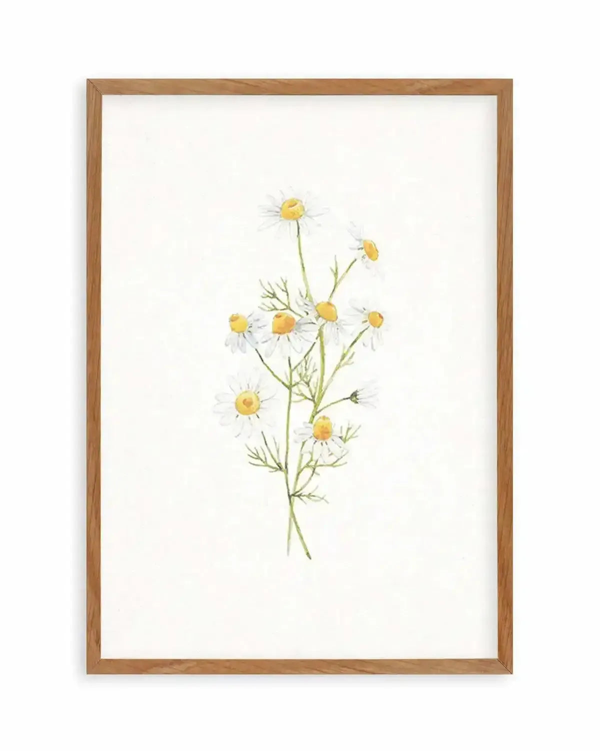 Daisies on Linen II Art Print from Olive et Oriel where you can shop wallpaper and artworks online