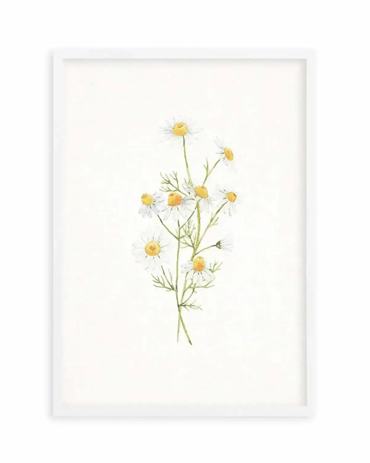 Daisies on Linen II Art Print from Olive et Oriel where you can shop wallpaper and artworks online