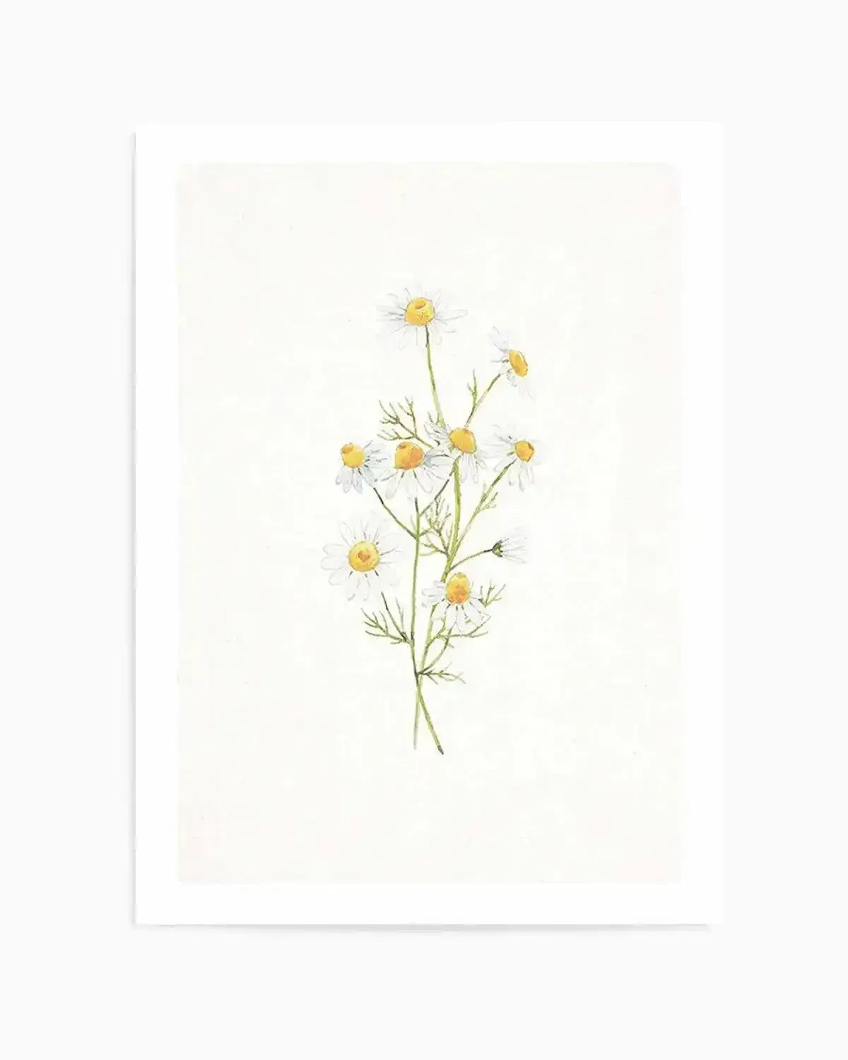 Daisies on Linen II Art Print from Olive et Oriel where you can shop wallpaper and artworks online