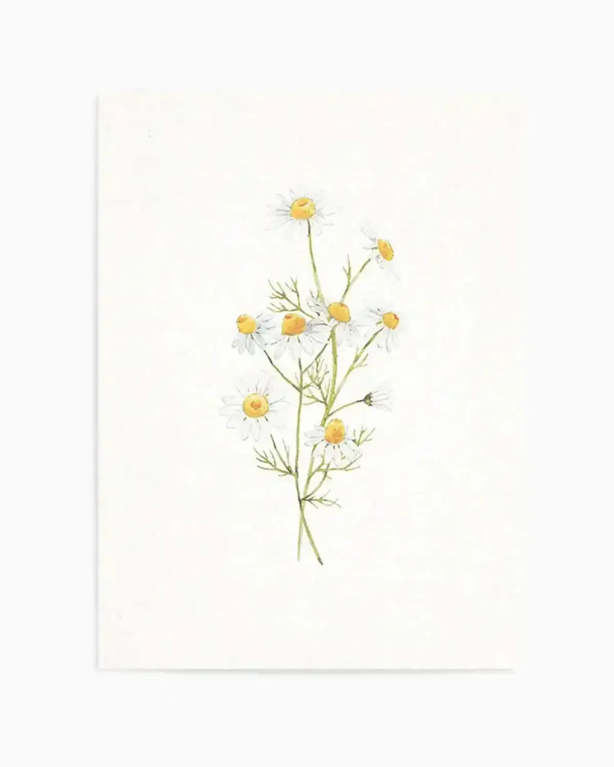 Daisies on Linen II Art Print from Olive et Oriel where you can shop wallpaper and artworks online
