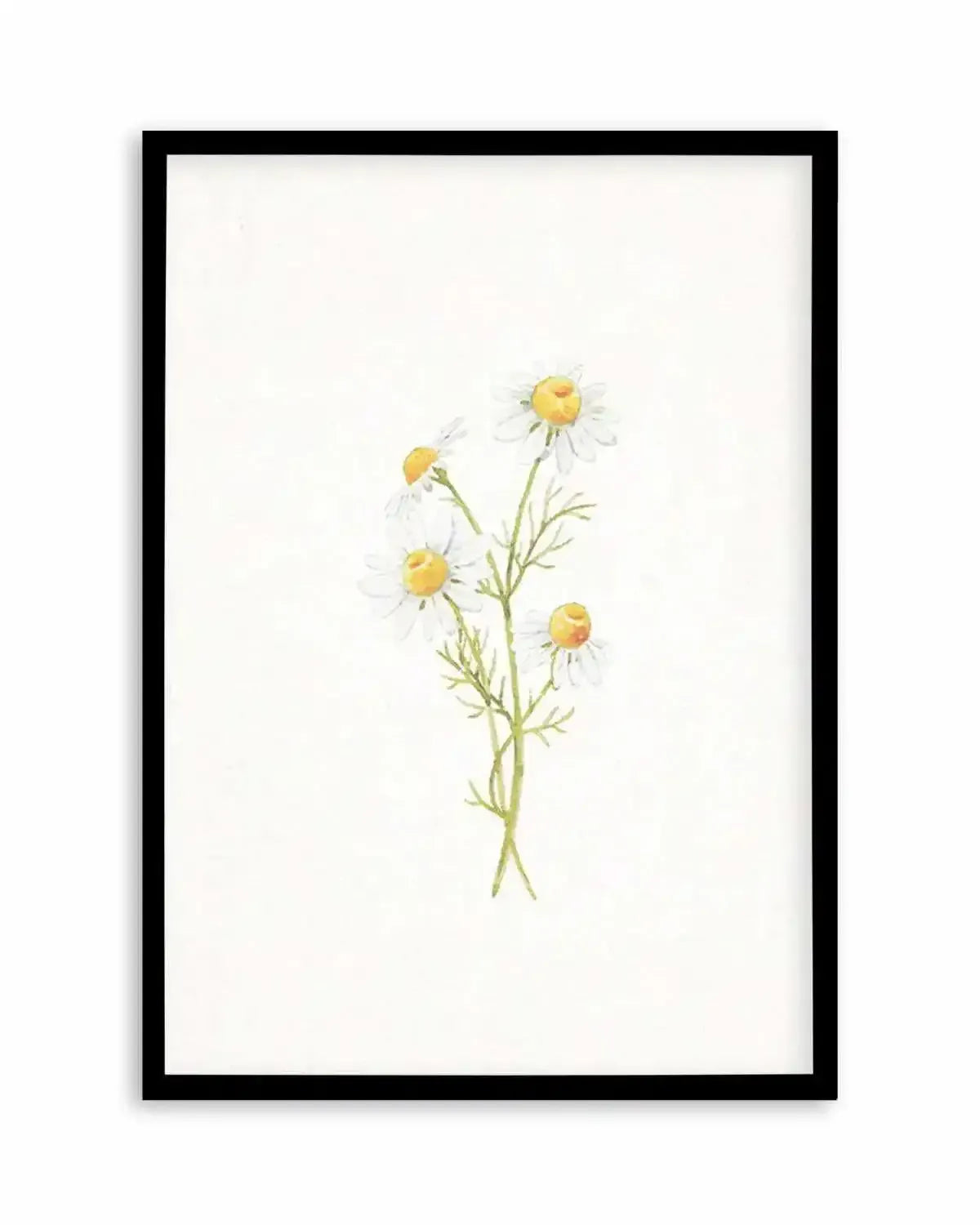 Daisies on Linen III Art Print from Olive et Oriel where you can shop wallpaper and artworks online