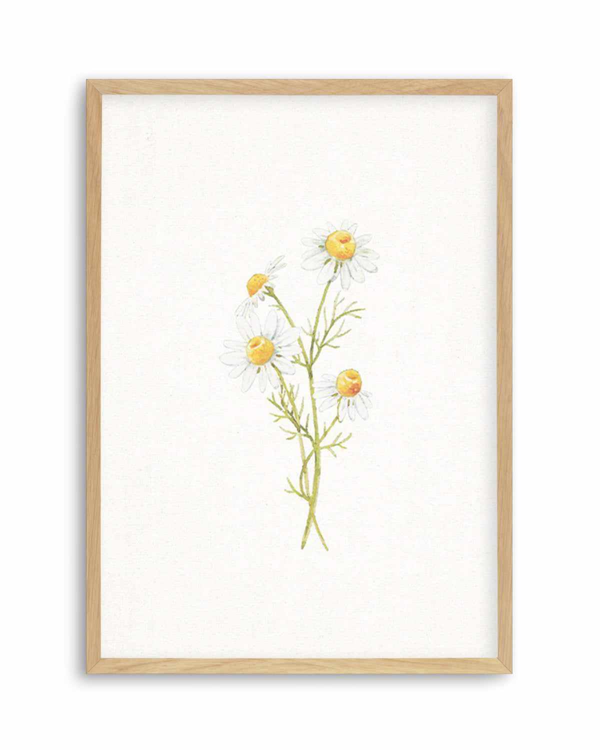 Daisies on Linen III Art Print