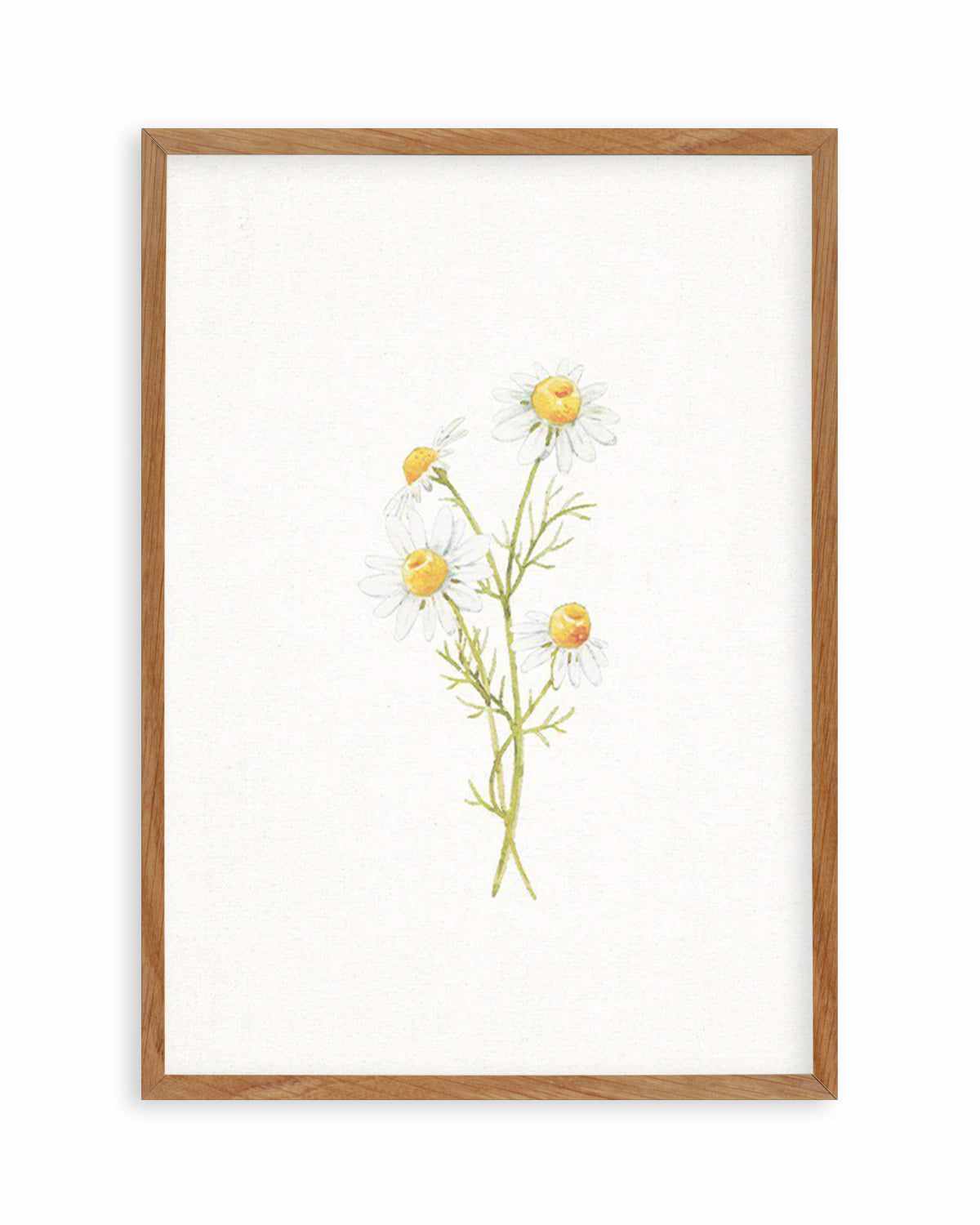 Daisies on Linen III Art Print