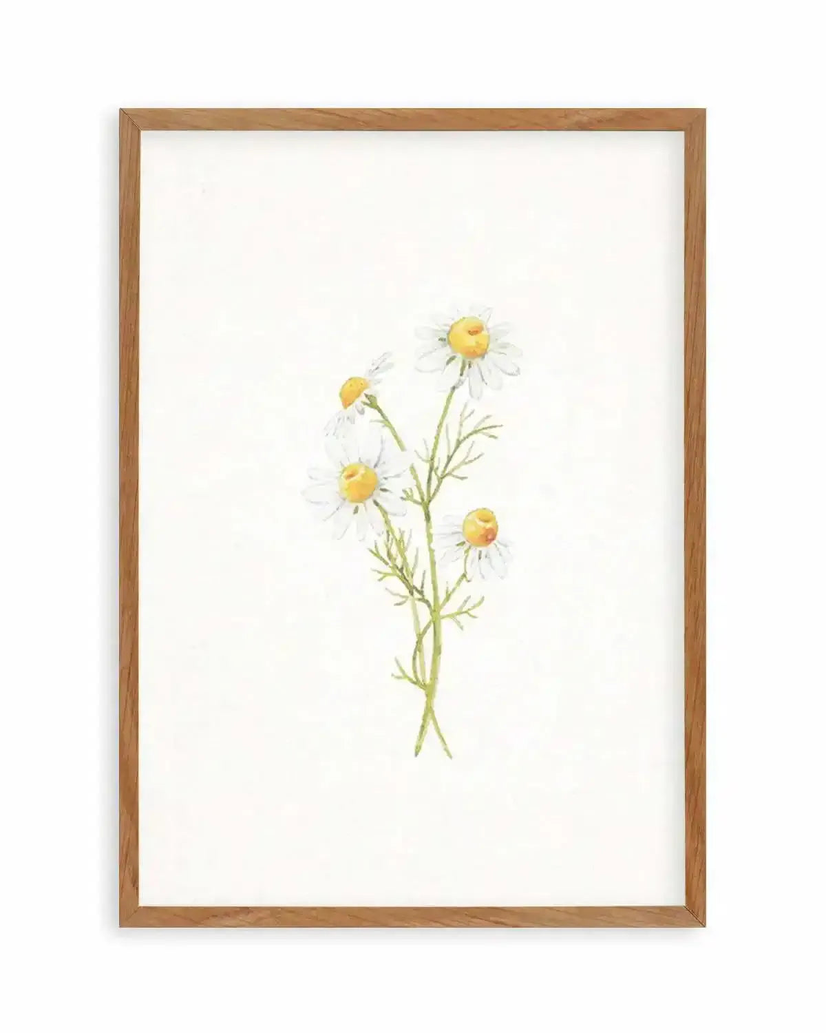 Daisies on Linen III Art Print from Olive et Oriel where you can shop wallpaper and artworks online