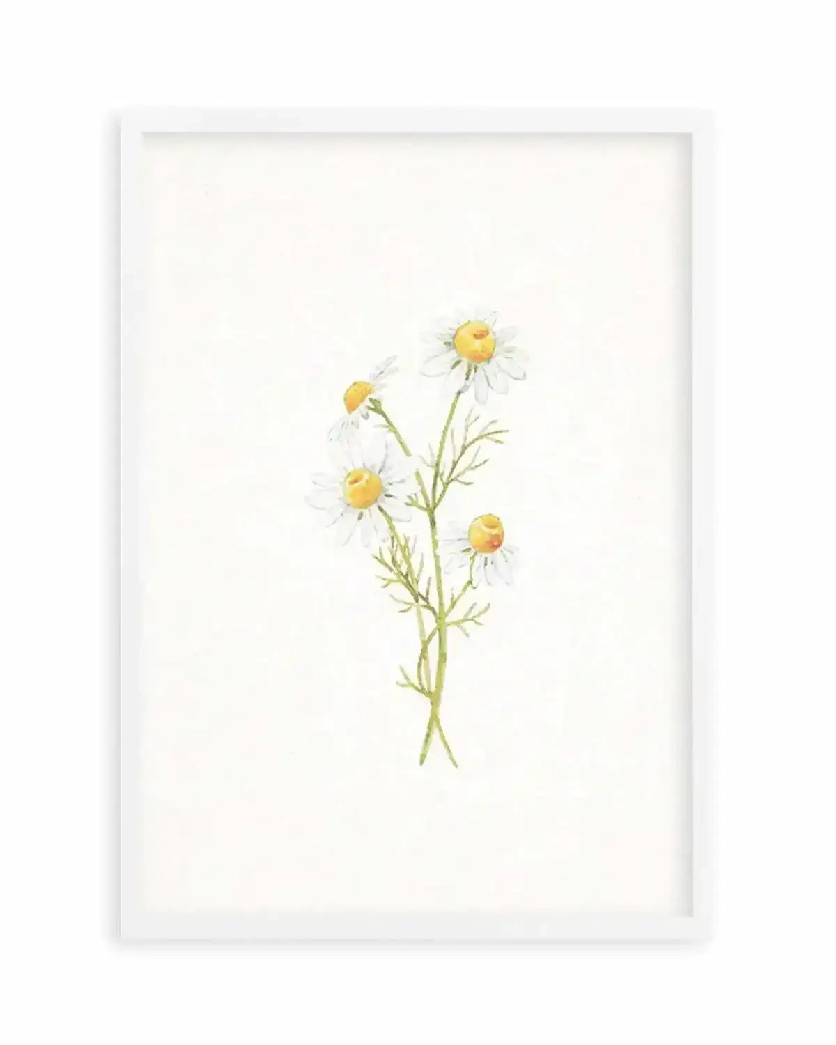 Daisies on Linen III Art Print from Olive et Oriel where you can shop wallpaper and artworks online