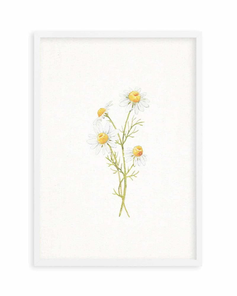 Daisies on Linen III Art Print