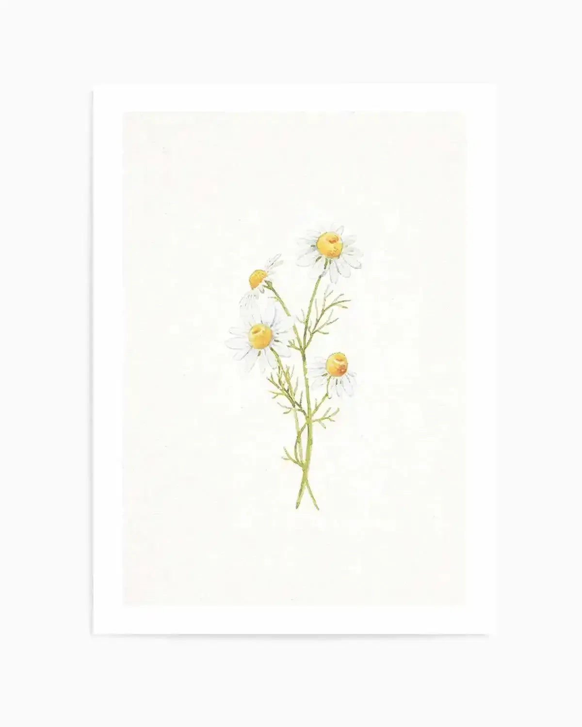 Daisies on Linen III Art Print from Olive et Oriel where you can shop wallpaper and artworks online