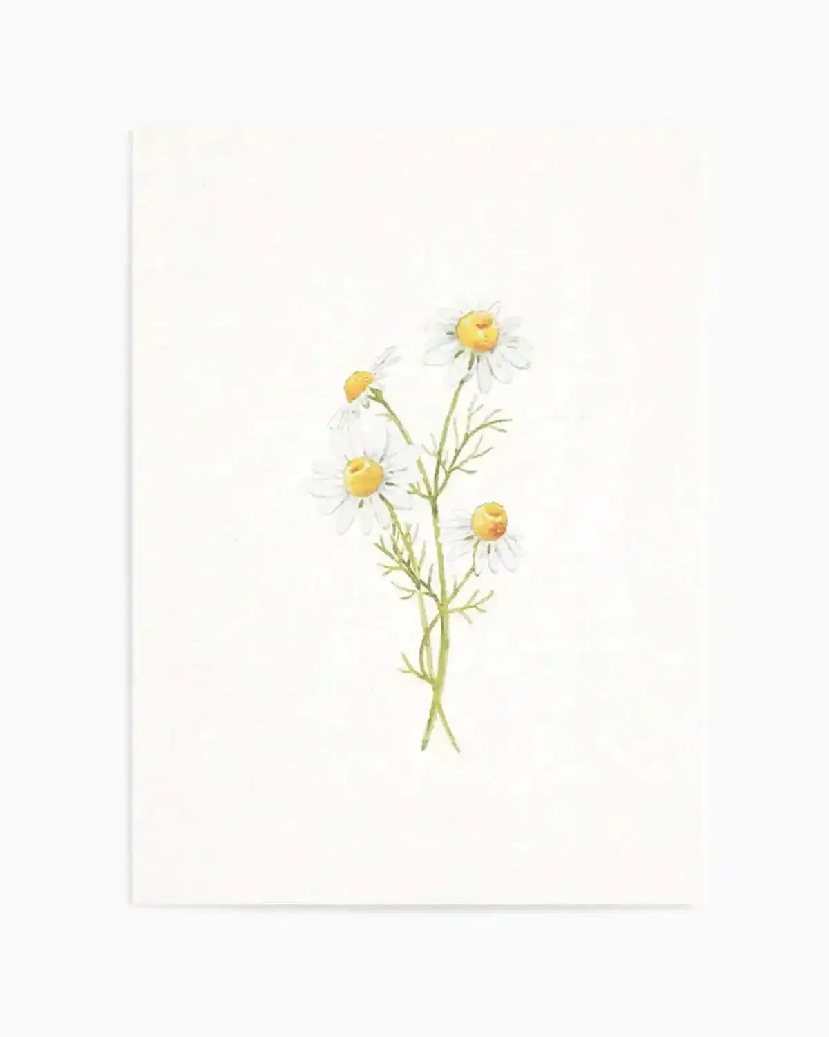 Daisies on Linen III Art Print from Olive et Oriel where you can shop wallpaper and artworks online